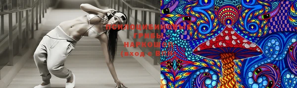 шишки Баксан