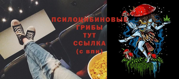 шишки Баксан