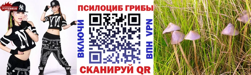купить наркотики цена  Лакинск  Галлюциногенные грибы Psilocybine cubensis 